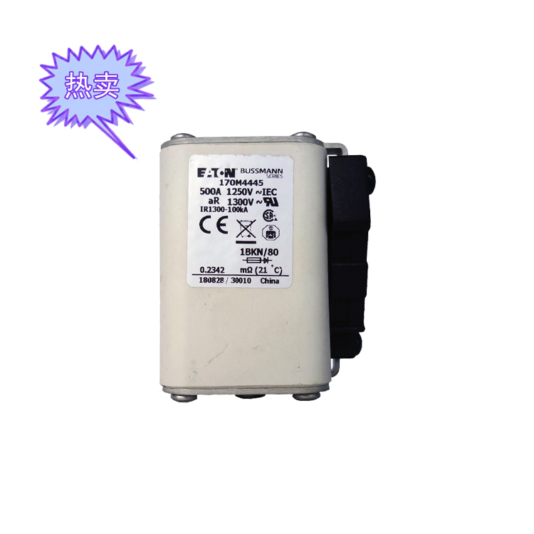 快速熔斷器170M4445（500A）