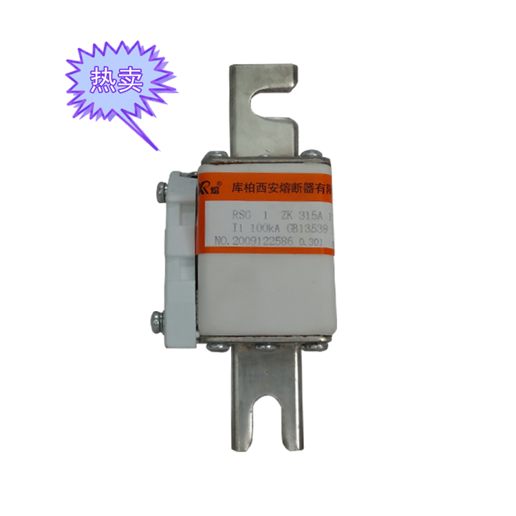 半導體快速熔斷器RSG-1 315A